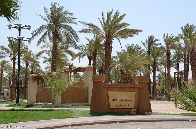 حدائق الرياض مكان إنشاء الديوانيات أمانة الرياض تنشئ «ديوانية الرعيل الأول» في جميع أحياء العاصمة